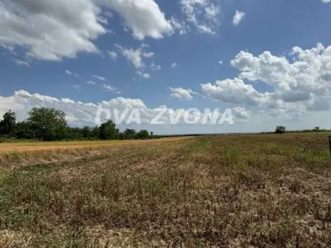 Prodaja, plac, 1000m², Čortanovci, Inđija - image 8