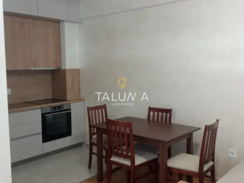 Rent, one bedroom apartment, 43m², Zabjelo, Podgorica - image 2