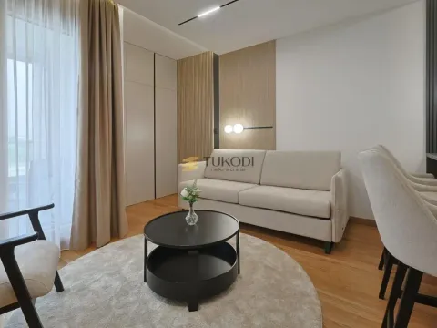 Izdavanje, jednosoban stan, 35m², Novi Beograd Blok 65, Novi Beograd Sve Podlokacije - image 4