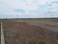 Prodaja, plac, 23000m², Šimanovci, Pećinci - image 3