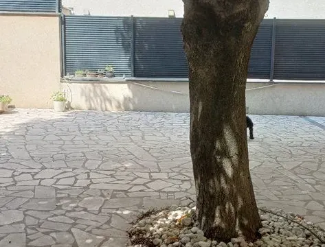 Rent, one bedroom apartment, 40m², Vračar Hram, Vračar Sve Podlokacije - image 16