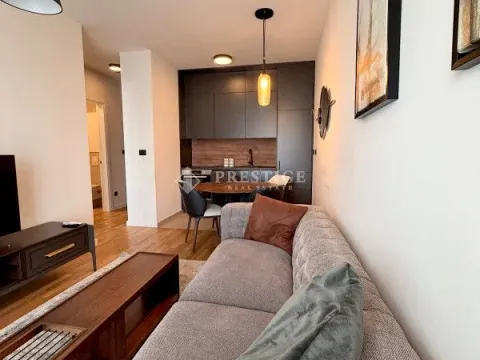 Izdavanje, jednosoban stan, 36m², Zabjelo, Podgorica - image 2
