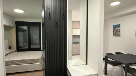 Izdavanje, jednosoban stan, 45m², Zagorič, Podgorica - image 2
