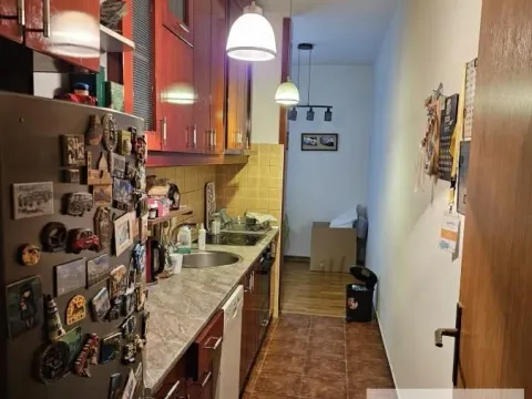 Izdavanje, dvosoban stan, 55m², Pasino Brdo, Voždovac Sve Podlokacije - image 5