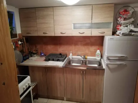 Manja kuhinja sa drvenim elementima, sudoperom i frižiderom. - image 18