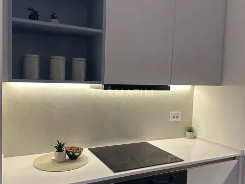 Rent, two bedroom apartment, 50m², Savski Venac, Beograd - image 10