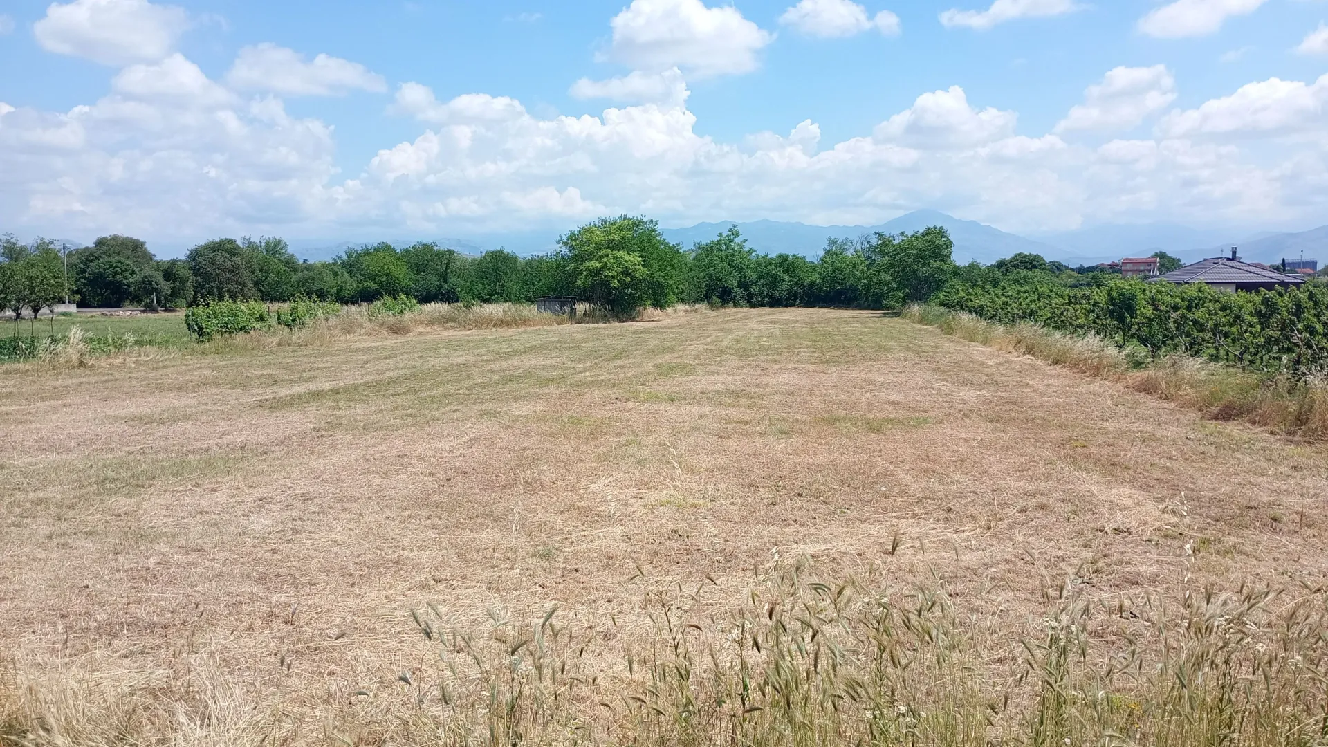 Prodaja, plac, 1850m², Farmaci, Podgorica