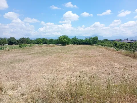 Prodaja, plac, 1850m², Farmaci, Podgorica - image 1