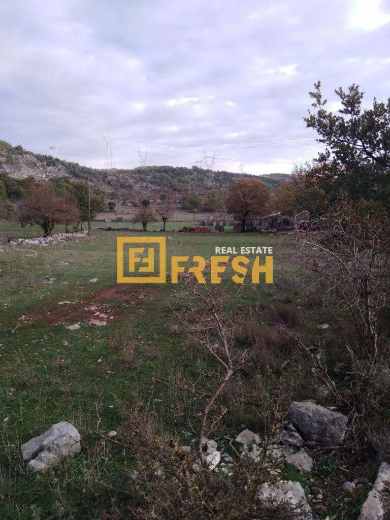 Prodaja, plac, 9600m², Rogami, Podgorica