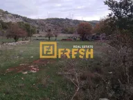 Prodaja, plac, 9600m², Rogami, Podgorica - image 3