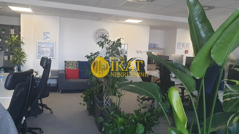 Rent, office space, 289m², Tašmajdan, Palilula Sve Podlokacije