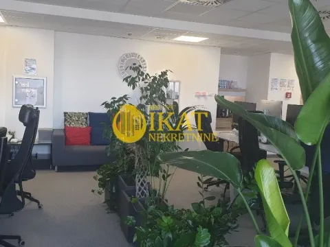 Izdavanje, poslovni prostor, 289m², Tašmajdan, Palilula Sve Podlokacije - image 5