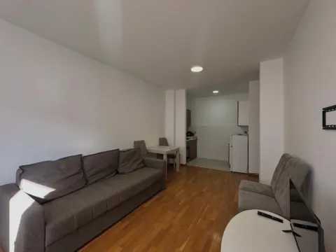 Rent, one bedroom apartment, 45m², Lazi, Budva - image 5