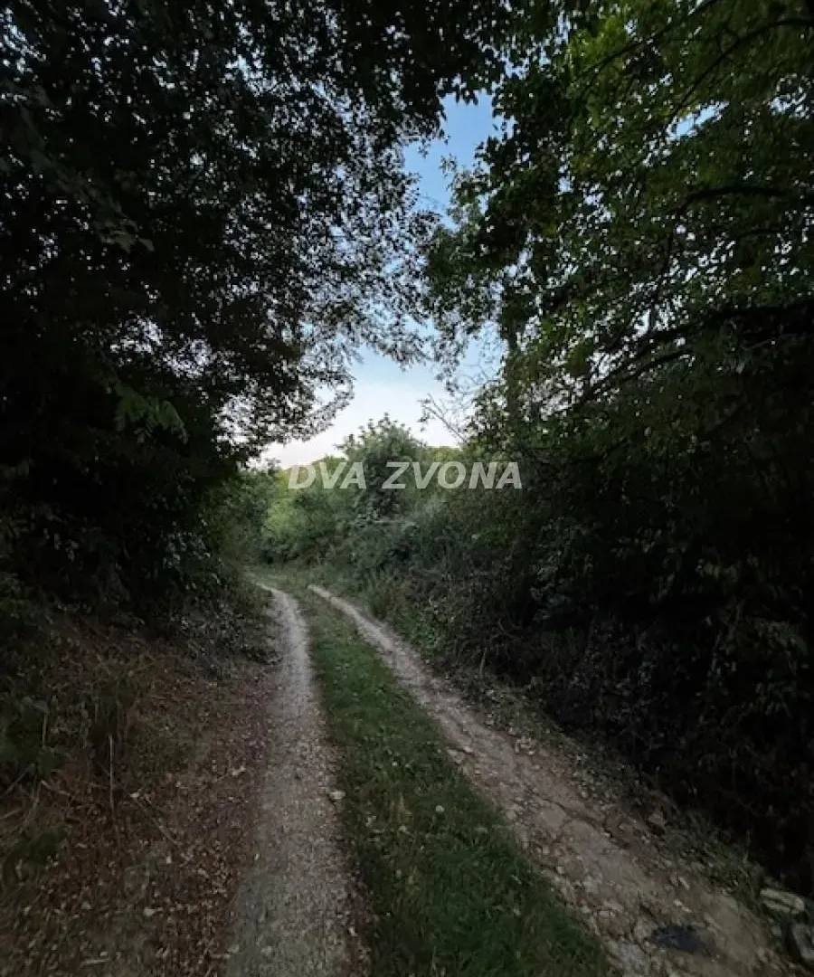 Prodaja, plac, 600m², Čortanovci, Inđija