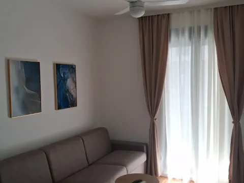 Izdavanje, jednosoban stan, 42m², Tološi, Podgorica - image 8