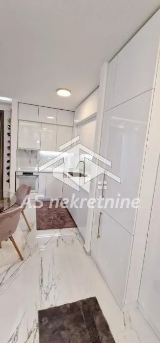 Izdavanje, dvosoban stan, 45m², Novi Beograd Blok 63, Novi Beograd Sve Podlokacije