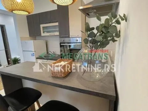 Izdavanje, dvosoban stan, 40m², Bulevar Oslobodjenja, Novi Sad Sve Podlokacije - image 4