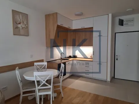 Izdavanje, jednosoban stan, 50m², Stari Aerodrom, Podgorica - image 6