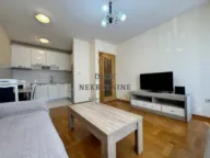 Izdavanje, dvosoban stan, 65m², Stari Aerodrom, Podgorica - image 3