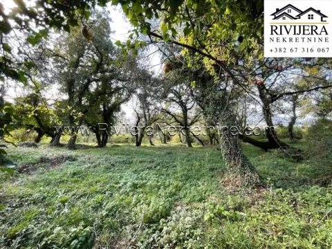 Prodaja, plac, 3300m², Kavač, Kotor - image 8