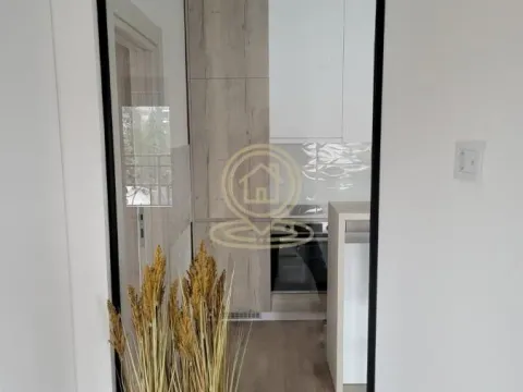 Rent, three bedroom apartment, 70m², Autokomanda, Voždovac Sve Podlokacije - image 11