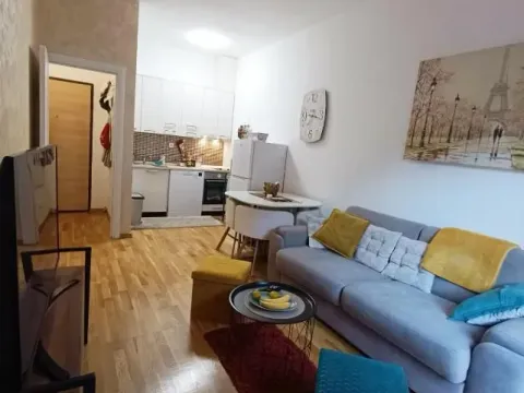 Rent, one bedroom apartment, 41m², Vezirov Most, Podgorica - image 4