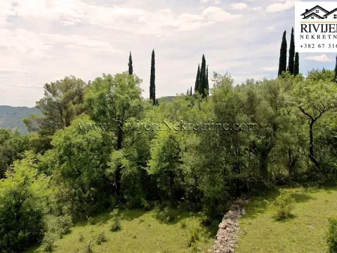 Prodaja, plac, 7325m², Mojdež, Herceg Novi - image 2