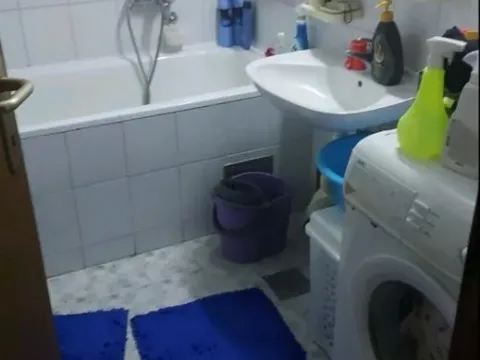 Izdavanje, garsonjera, 36m², Sajmište, Novi Sad - image 7