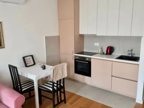 Izdavanje, jednosoban stan, 36m², Blok 9, Podgorica - image 2