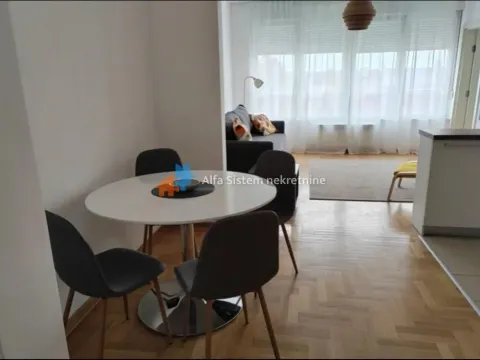 Izdavanje, dvosoban stan, 44m², Vračar Sve Podlokacije, Beograd - image 2