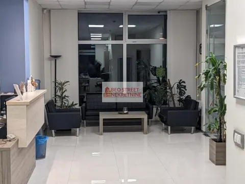 Izdavanje, poslovni prostor, 250m², Beograd, Srbija - image 10