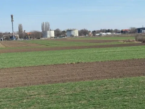 Prodaja, plac, 4300m², Zemun Polje, Beograd - image 2