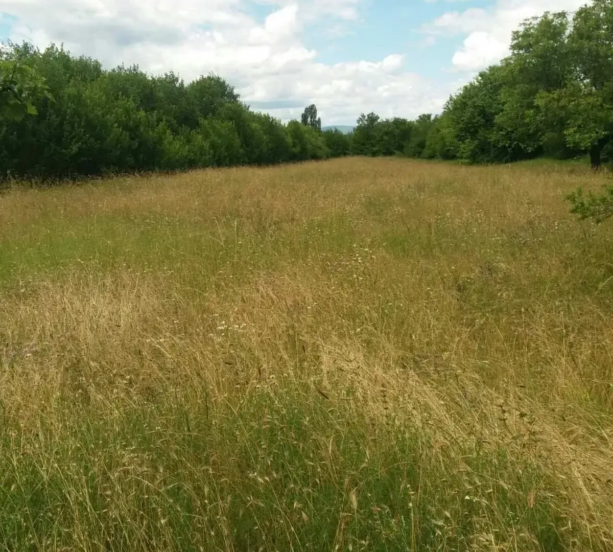 Prodaja, plac, 120m², Nikšić, Crna Gora