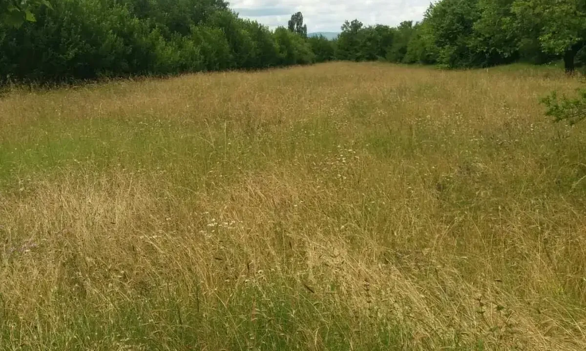Sale, land lot, 120m², Nikšić, Crna Gora