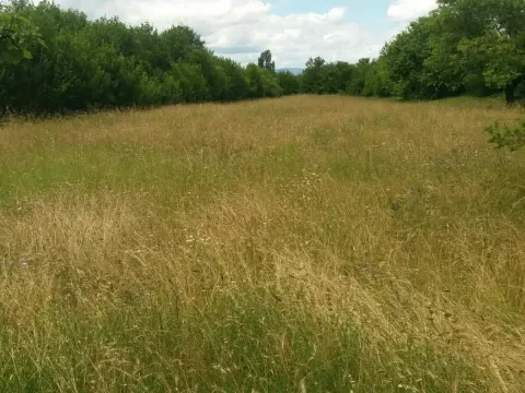 Prodaja, plac, 120m², Nikšić, Crna Gora