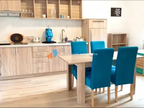 Izdavanje, dvosoban stan, 70m², Vračar Hram, Vračar Sve Podlokacije - image 5