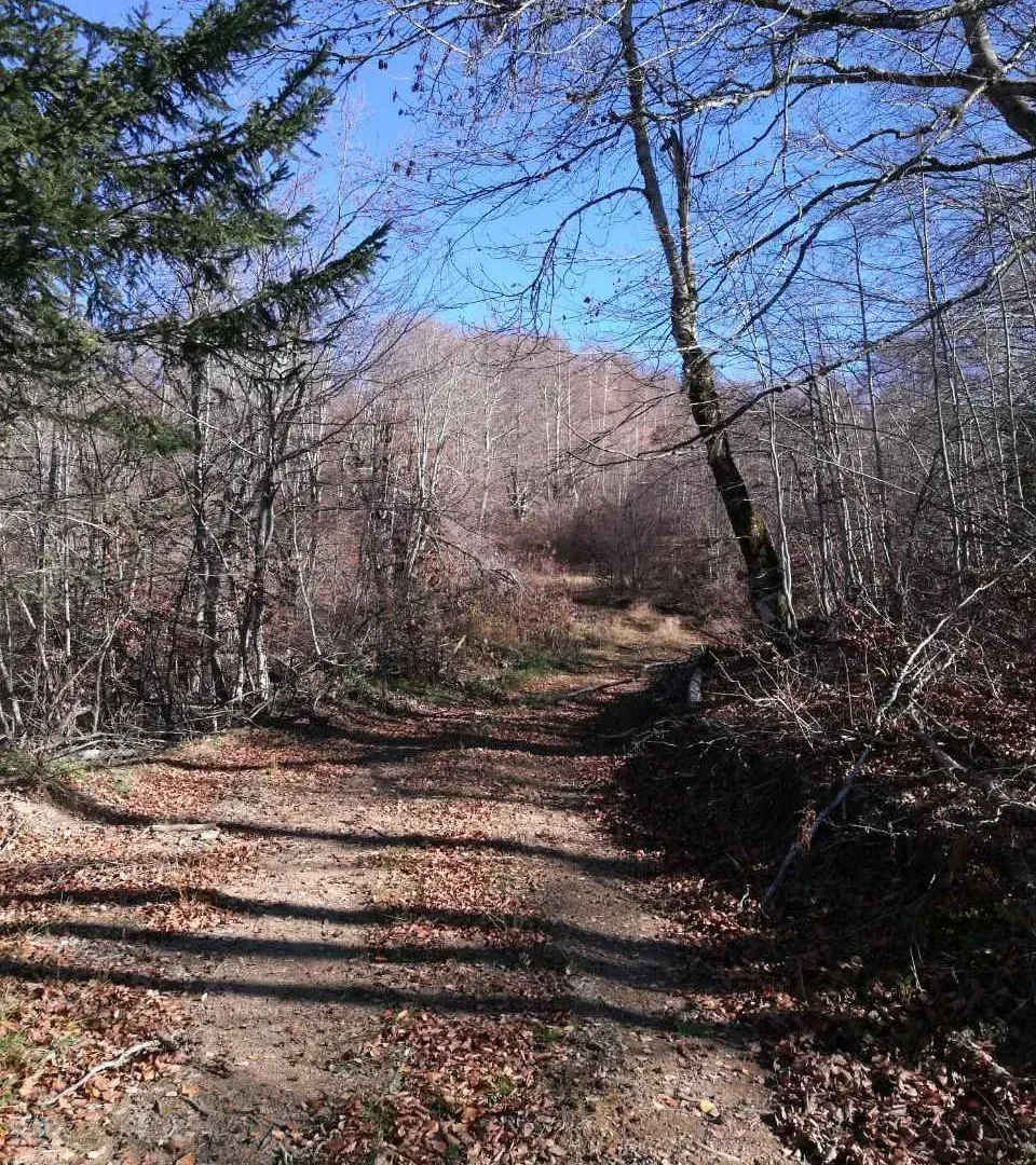 Prodaja, plac, 138000m², Kolašin, Crna Gora
