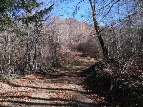 Prodaja, plac, 138000m², Kolašin, Crna Gora - image 9