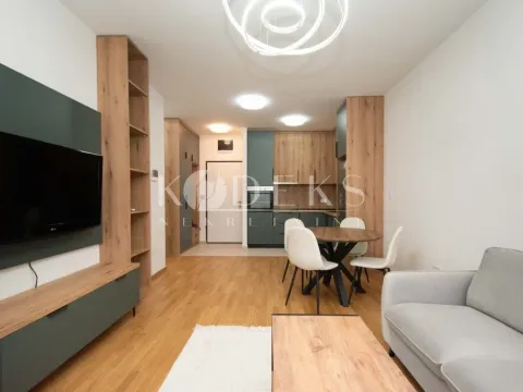 Rent, one bedroom apartment, 46m², Stari Aerodrom, Podgorica - image 1