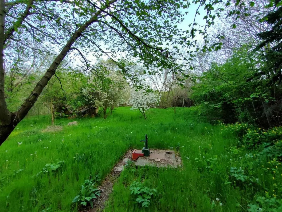 Prodaja, kuća, 37m², Čerević, Beočin