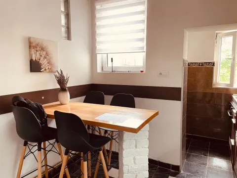 Rent, three bedroom apartment, 60m², Dorćol Sve Podlokacije, Beograd - image 18