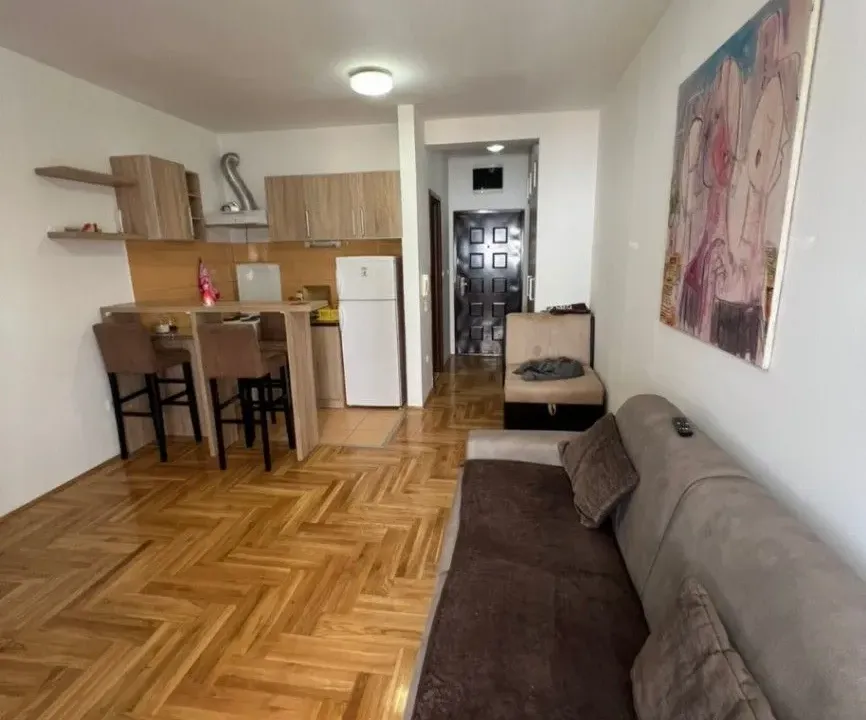 Izdavanje, garsonjera, 33m², Tuški Put, Podgorica