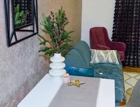 Izdavanje, jednosoban stan, 45m², Zabjelo, Podgorica - image 2