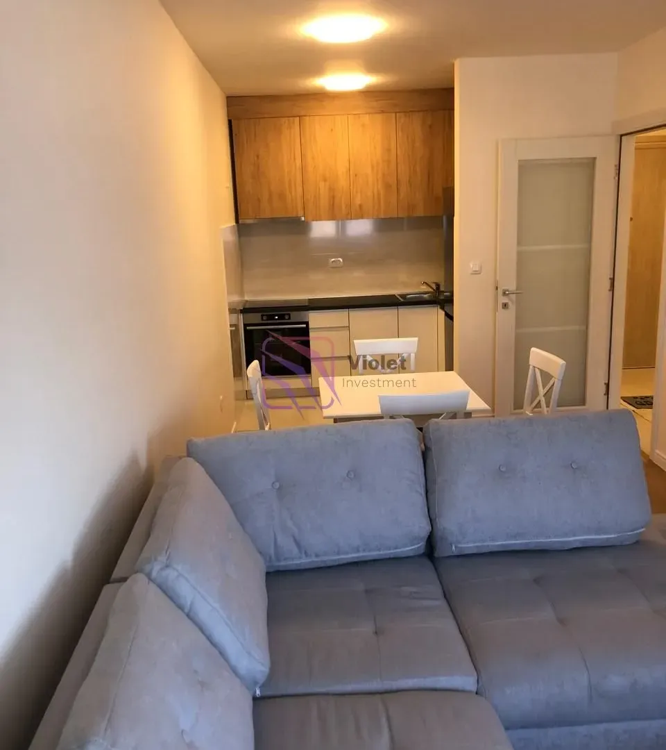Izdavanje, jednosoban stan, 46m², Central Point, Podgorica