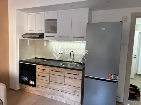Rent, one bedroom apartment, 35m², Botanička Bašta, Palilula Sve Podlokacije - image 9