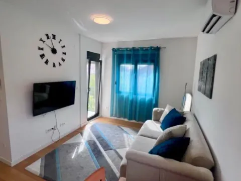 Izdavanje, jednosoban stan, 45m², Blok 6, Podgorica - image 7