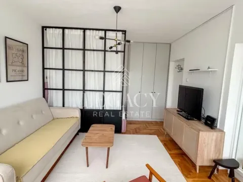 Izdavanje, jednosoban stan, 35m², Zemun Sve Podlokacije, Beograd - image 9