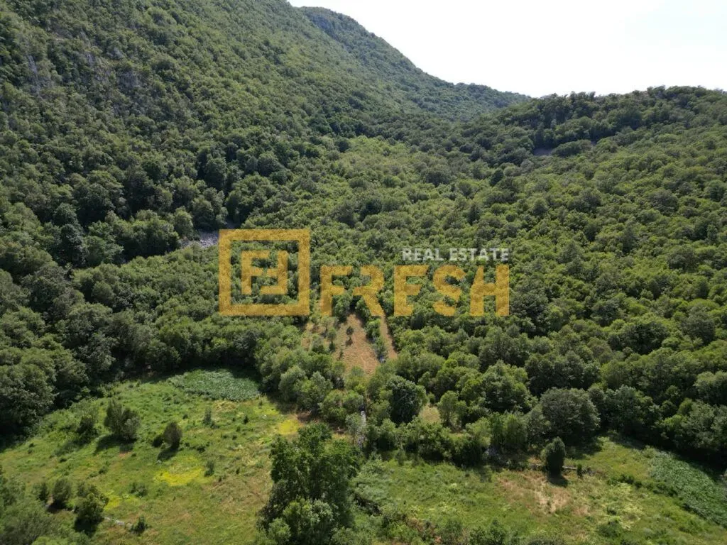 Prodaja, plac, 49000m², Bar, Crna Gora