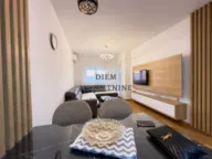 Izdavanje, jednosoban stan, 46m², Stari Aerodrom, Podgorica - image 4