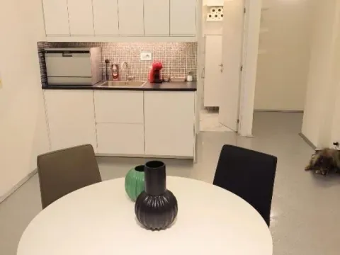 Izdavanje, jednosoban stan, 53m², Stari Grad, Beograd - image 9